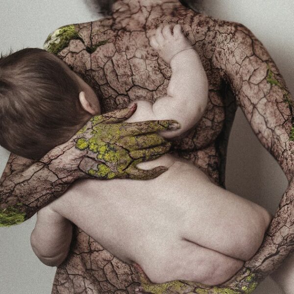 Shape of Water – Amor Fati (2022)