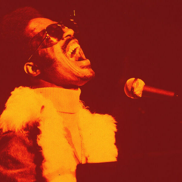 Joyeux anniversaire, Stevie Wonder !!!