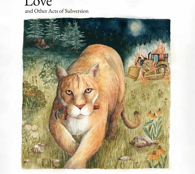 Forest Mountain Lion – ‘Love and Other Acts of Subversion’